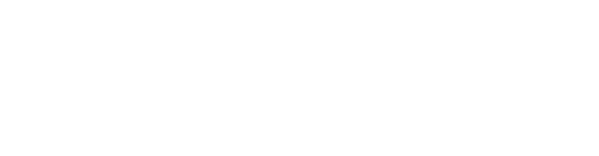 Logo Viamatica-02